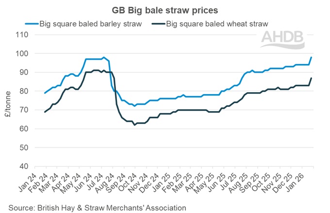 Graph showing GB big bale straw weekly prices 25 January 2026.